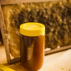 خرید مستقیم از تولید کننده عسل